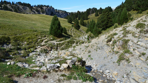 Couvreur Challans